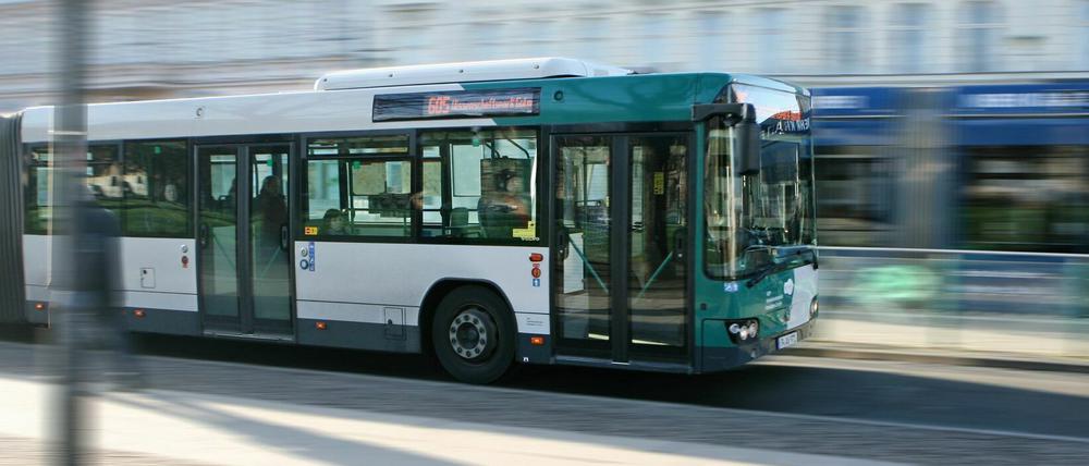 Der Verkehrsbetrieb Potsdam plant die Anschaffung von elf neuen Gelenkbussen - mit Dieselantrieb.