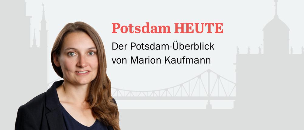 Der PNN-Newsletter – heute von Marion Kaufmann
