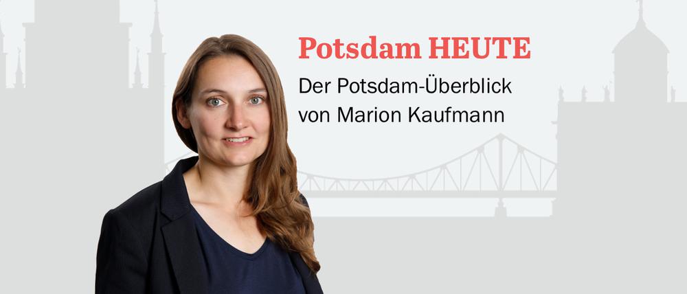 Der PNN-Newsletter – heute von Marion Kaufmann.