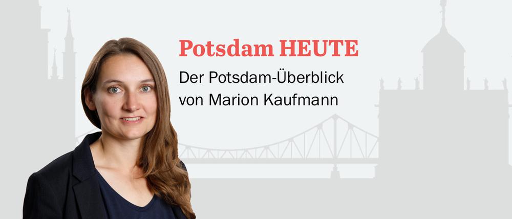 Der PNN-Newsletter - heute von Marion Kaufmann.