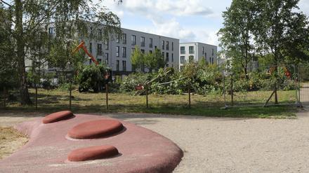 Der Volkspark Potsdam öffnet wieder für Spaziergänger.