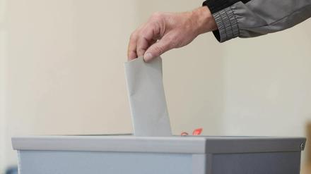 Wer tritt zur Kommunalwahl 2019 in Potsdam an?