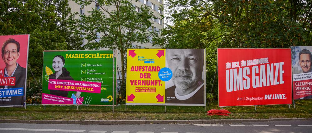 Wahlplakate in Potsdam.