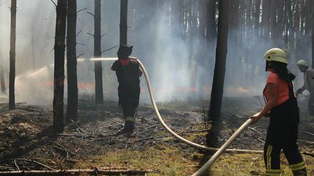 In Brandenburg brennen derzeit wieder Wälder, wie hier bei Wolfslake. 