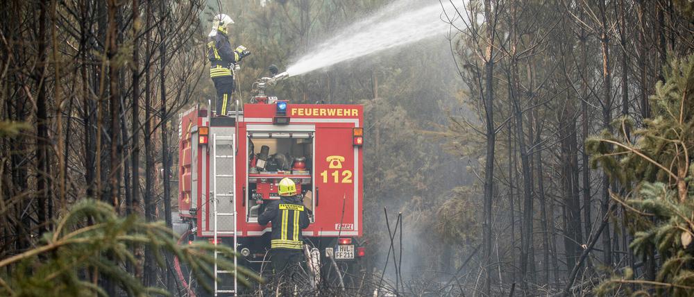2019 kam es in Brandenburg zu mehr als 400 Waldbränden. (Archivbild)
