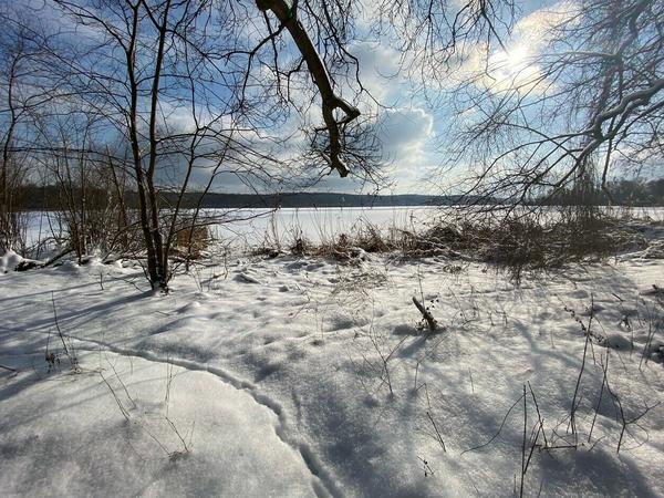 Verschneites Ufer am Templiner See.