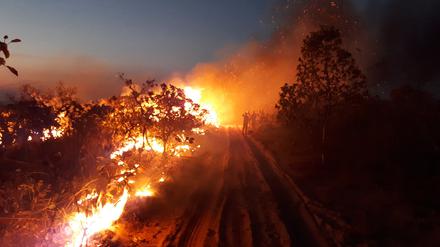 Der Brand von Tropenwäldern wie hier in Brasilien erhöht den CO2-Gehalt in der Atmosphäre.