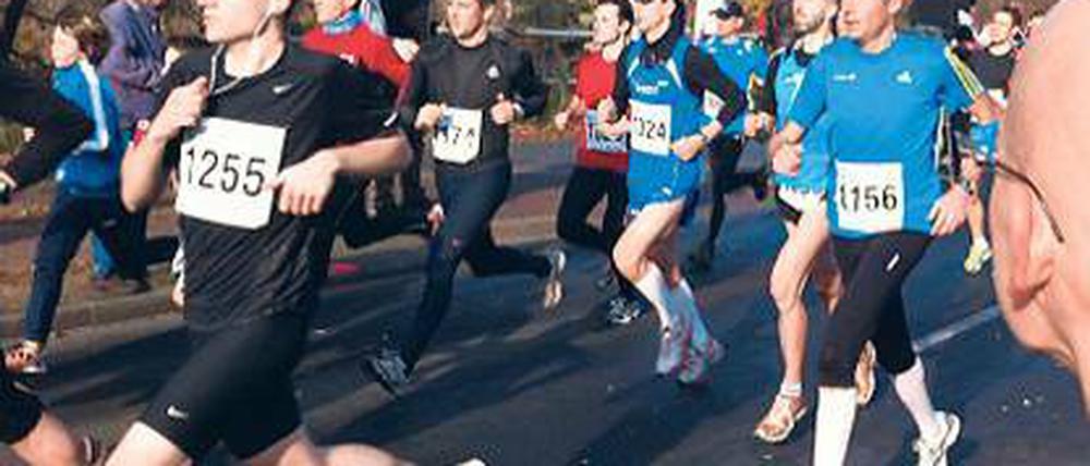 Startschuss. 800 Läufer nahmen am Teltowkanallauf teil.