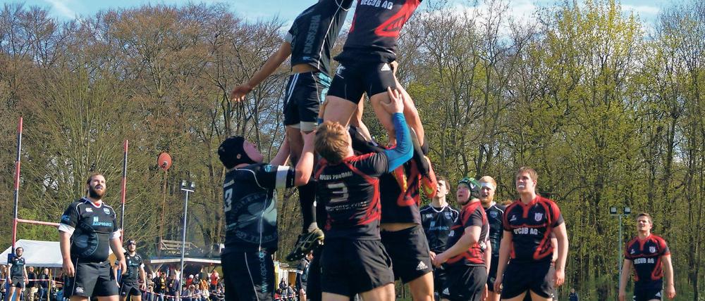 Duell in luftiger Höhe. Überquert der Ball beim Rugby die Seitenlinie, formieren sich die Teams – Potsdam hier in den schwarz-roten Trikots – zur sogenannten Gasse und kämpfen nach dem Einwurf durchaus artistisch um das eiförmige Spielgerät.