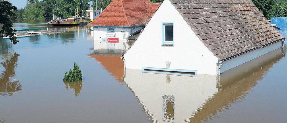 Land unter. In Brandenburg gab es in den vergangenen Jahren relativ häufig extreme Hochwasser, wie hier im Juni 2013 in Mühlberg an der Elbe. Nach einer aktuellen Studie aus Potsdam wird sich das Hochwasserrisiko in der Mark in den kommenden Jahren stark erhöhen.