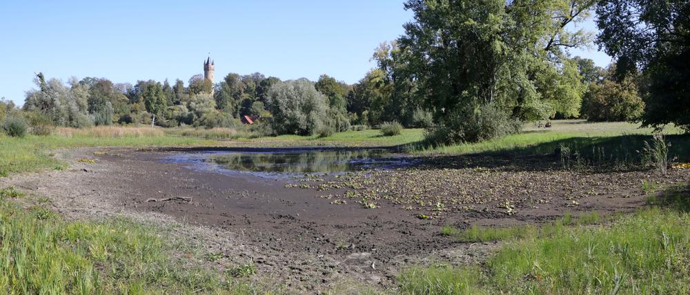 Der Kindermannsee im Babelsberger Park verlor im vergangenen Jahr einen großen Teil seines Wassers.