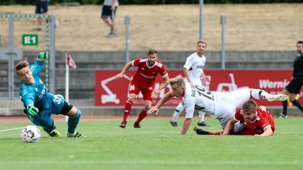 Da schaut er seinem Treffer hinterher. Nulldrei-Neuzugang Pieter Wolf krönte sein starkes Regionalliga-Debüt bei Germania Halberstadt am gestrigen Sonntag mit dem Ausgleich zum 1:1 für den SV Babelsberg 03.