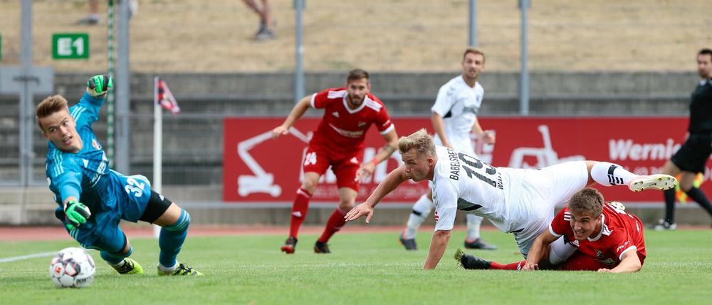 Da schaut er seinem Treffer hinterher. Nulldrei-Neuzugang Pieter Wolf krönte sein starkes Regionalliga-Debüt bei Germania Halberstadt am gestrigen Sonntag mit dem Ausgleich zum 1:1 für den SV Babelsberg 03.