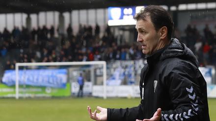 Predrag Uzelac ist nicht länger Trainer des SV Babelsberg 03.