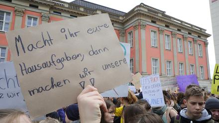 Am Klima-Streik am 15. März vor dem Landtag beteiligten sich mehr als 1000 Potsdamer Schüler.
