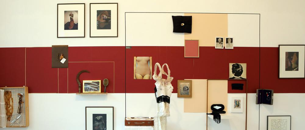 "Aus der Wunderkammer" heißt die gemeinsame Installation von Sandra Riche und Ilse Winckler.
