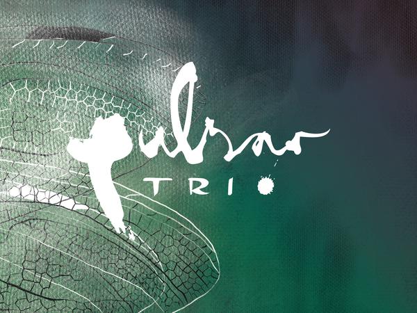 Pulsar Trio hofft, über den Verkauf des neuen Albums einige der Verluste wieder einzupielen. Titel: „Live in Berlin“.