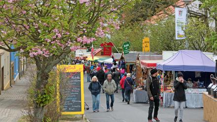 Das Baumblütenfest Werder wird 2020 in wesentlich kleinerem Umfang stattfinden. 