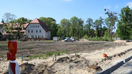 Startschuss fürs Städtchen. Erste Bäume sind auf der Baustelle am Bahnhof in Beelitz-Heilstätten bereits gefällt worden.
