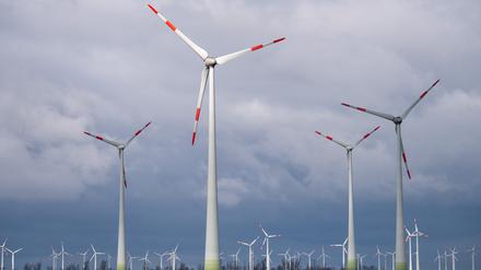 Die sieben geplanten Windkraftanlagen in Ferch sorgen für Widerstand (Symbolbild). 