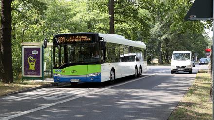 Richtung Potsdam: Die Busspur reicht aktuell bis zur Pirschheide.