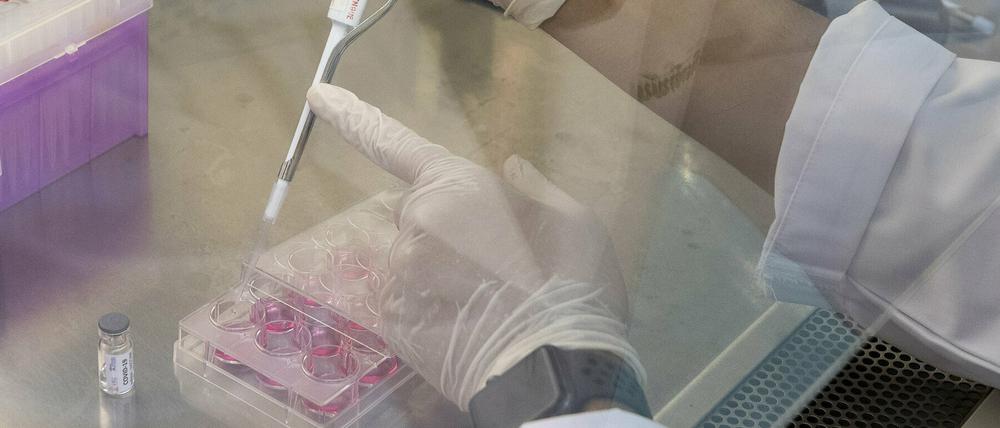 Symbolbild: Ein Labortechniker extrahiert einen Teil eines sich in der Entwicklung befindlichen, möglichen Covid-19-Impfstoffs.