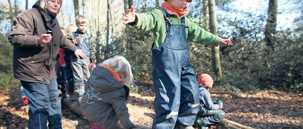 Spielend den Wald erkunden. Für die Betreuung von Kleinkindern in freier Natur ist Expertise gefragt. Die Nachfrage nach Fortbildungen für angehende Waldkindergärtner ist hoch.