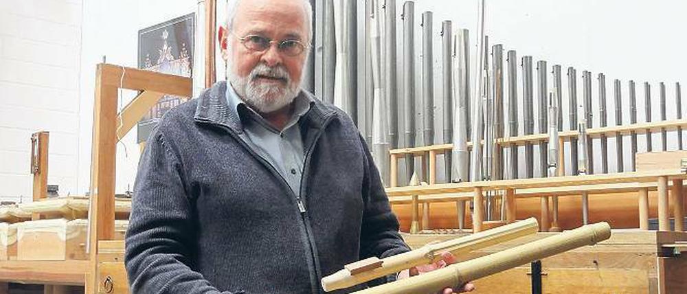 Nicht risikofrei. Aus Bambus hat Matthias Schuke noch nie eine Orgel gebaut. Derzeit erkunden seine Fachleute das Material.