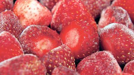 Tiefkühlkost mit Nachspiel. Chinesische Erdbeeren im Sodexo-Essen führten im September 2012 zu einer Brechdurchfallwelle.