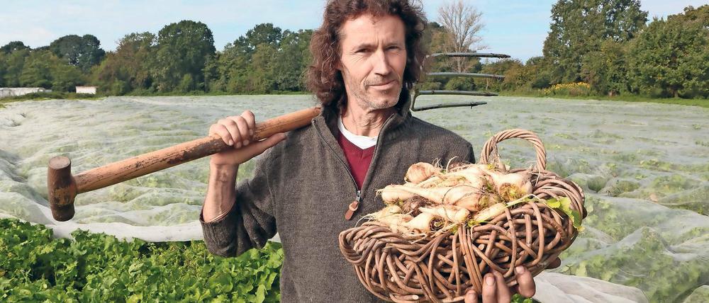 Weißes Gold. Landwirt Axel Szilleweit ist in diesem Jahr zufrieden mit seiner Rübchen-Ausbeute. Auf 30 Hektar baut er gemeinsam mit seiner Frau seit der Wendezeit das Gemüse an. Interessenten für die Rübchen gibt es sogar in Frankreich.