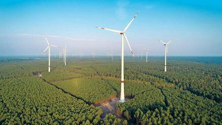 200 Meter hoch sind die Windräder, die sich bald auch schon über die Reesdorfer Heide erheben könnten. 