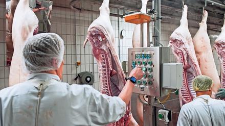 Kontrolle in Schlachthöfen. Nach Coronainfektionen in mehreren fleischverarbeitenden Betrieben haben auch in Brandenburg die Behörden begonnen, unangemeldete Kontrollen bei den Unternehmen durchzuführen.