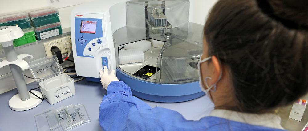 Analyse eines PCR-Tests. (Symbolbild)