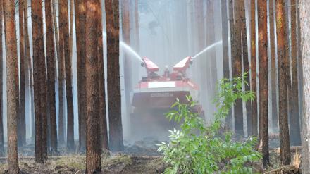 Wird es wieder brennen? In Fichtenwalde wütete das Feuer im Juli vergangenen Jahres auf rund 50 Hektar.