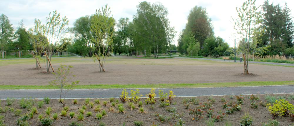 Das Gelände des künftigen Bürgerparks ist das Ziel von Vandalismus geworden.