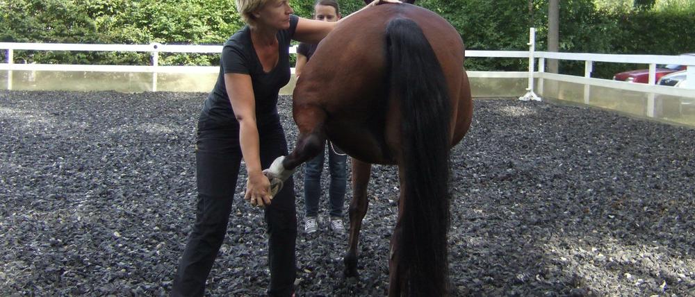 Früher war Claudia Schebsdat Physiotherapeutin, heute kümmert sie sich um Pferde.