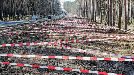 Die auffälligen Absperrbänder auf der Baustelle für den geplanten Radweg zwischen Klaistow und Glindow sollen Vögel fernhalten.
