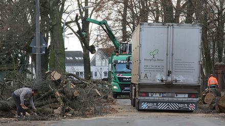 Der Stopp der Baumfällungen in der Ruhlsdorfer Straße ist mit der Entscheidung aufgehoben worden. 