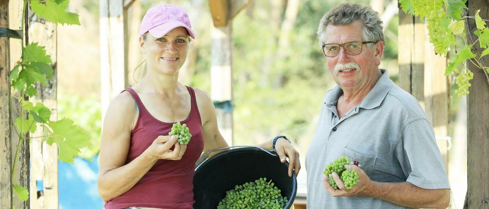 Weingut-Inhaberin Lara Wolenski und ihr Vater bewirtschaften den Weinberg in Töplitz.
