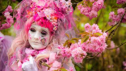 Neben dem Kirschblütenfest in Teltow sind nun auch weitere Veranstaltungen abgesagt worden. 