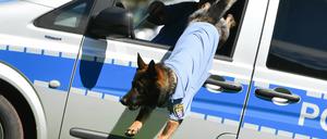 Ein Polizeihund in Aktion (Symbolbild)
