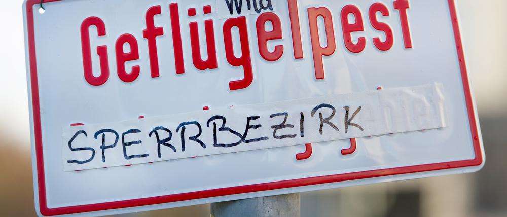 In Berlin trat die Vogelgrippe bereits auf. Dieses Schild wurde in Berlin-Friedrichshain aufgestellt. Jetzt gab es den ersten Fall in Brandenburg.