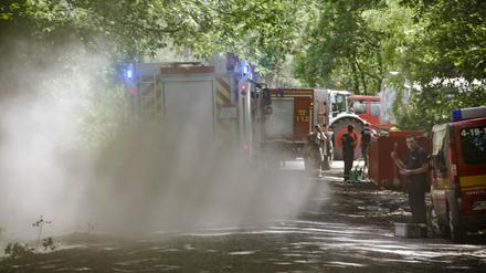 Die Feuerwehr ist seit Freitagabend in einem Waldstück im Ortsteil Frohnsdorf bei Treuenbrietzen bei einem Waldbrand im Einsatz.
