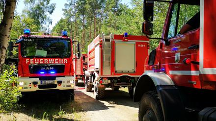 50 bis 60 Feuerwehrleute waren mit 25 Fahrzeugen beim Brand an der L90 in Glindow.