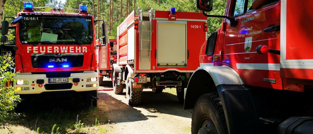 50 bis 60 Feuerwehrleute waren mit 25 Fahrzeugen beim Brand an der L90 in Glindow.