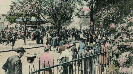 Schon früh gut besucht. Zum 30. Baumblütenfest im Jahre 1909 strömten die Besucher bereits zum Werderaner Plantagenplatz.