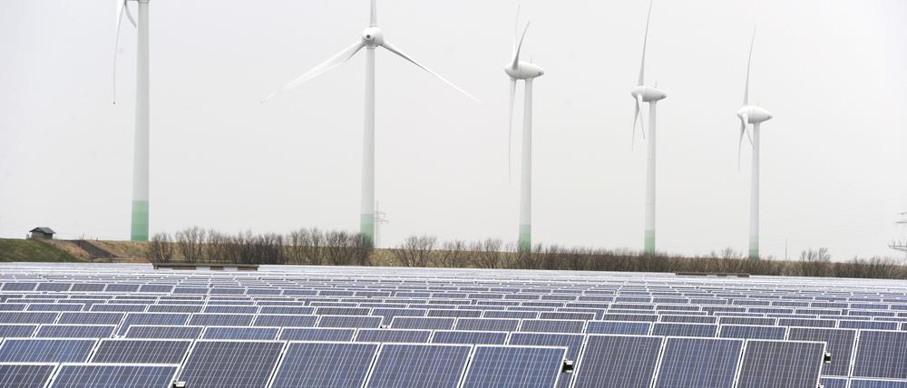 Das Aufkommen an regional erzeugter, erneuerbarer Energie ist um 16 Prozent gestiegen.