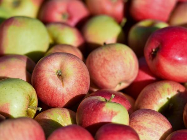 Da steckt viel drin: Um ein Kilo Äpfel zu produzieren, braucht man über 800 Liter Wasser. 