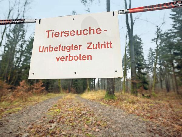 Seuchengebiet: Brandenburg ist am stärksten betroffen. 