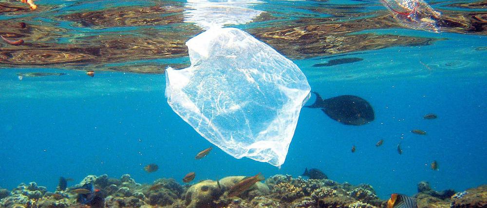 Eine Plastiktüte kommt selten allein: Im Pazifik haben sich inzwischen ganze Müllstrudel gebildet. Die EU will nun Plastikeinweggeschirr verbieten. 